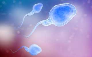 Что такое астенозооспермия?