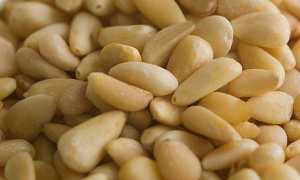 Чем полезен кедровый орех для здоровья мужчин?