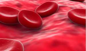 Какова норма тромбоцитов в крови у мужчин?