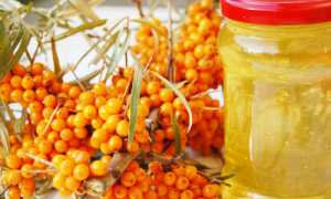 Лечение храпа облепиховым маслом