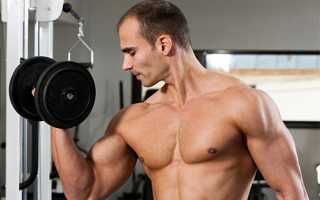 Спортивное питание: что нужно есть после тренировки?