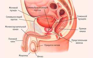 Лечение простатита у мужчин