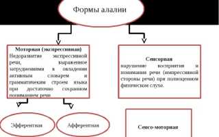 Актуальная информация о моторной алалии
