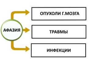 Причины появления афазии у детей, диагностика и способы устранения