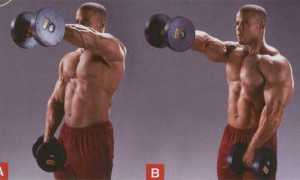 Комплекс силовых упражнений с гантелями для мужчин
