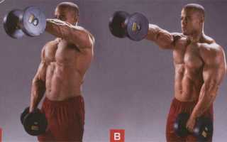 Комплекс силовых упражнений с гантелями для мужчин