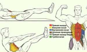 Как обрести здоровье и правильно накачать мышцы в домашних условиях