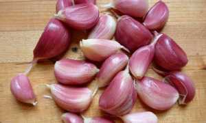 Чем полезен чеснок для мужчин и возможен ли вред от него?