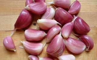 Чем полезен чеснок для мужчин и возможен ли вред от него?