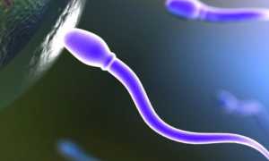 Как можно увеличить подвижность сперматозоидов?