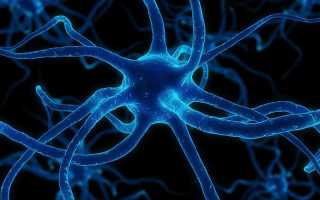 Для чего предназначены мужские гормоны у мужчин?