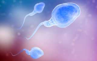 Криптоспермия и низкая концентрация сперматозоидов