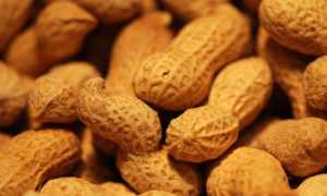 Чем полезен арахис для мужчин: свойства и способы употребления