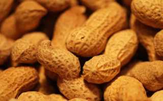 Чем полезен арахис для мужчин: свойства и способы употребления