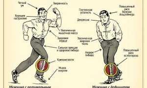 За что отвечает мужской половой гормон?