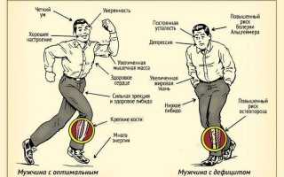 За что отвечает мужской половой гормон?