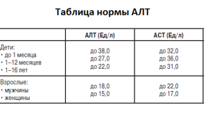 Уровень АЛТ в крови у мужчин: норма