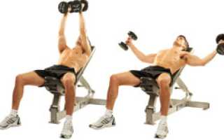 Залог красоты и здоровья — зарядка с гантелями для мужчин