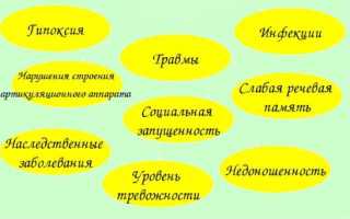 ОНР 2 уровня: характеристика, особенности и отличие от других диагнозов