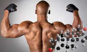 Что влияет на выработку тестостерона у мужчин?