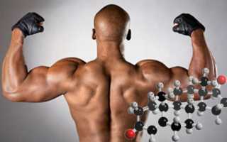 Что влияет на выработку тестостерона у мужчин?