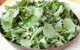 Применение крапивы для борьбы с сединой волос