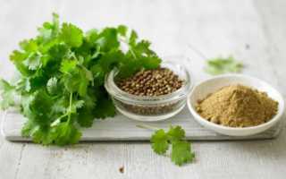 Чем полезна кинза для поддержания здоровья мужчин?