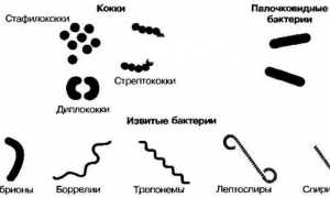 Эффективное лечение мазью заболевания баланопостит