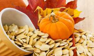 Тыквенные семечки от простатита