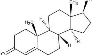 Можно ли увеличить выработку тестостерона и как это сделать?