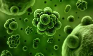 Особенности хламидийной инфекции у мужчин