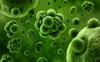 Особенности хламидийной инфекции у мужчин