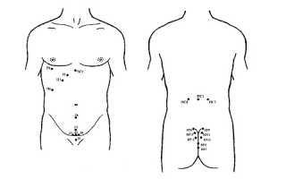Какой эффект дает лечение простатита пиявками?