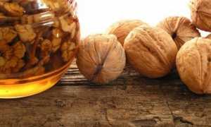 Как могут помочь грецкие орехи с медом для потенции