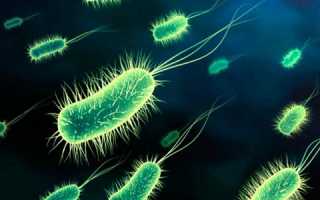 Как лечится уреаплазма у мужчин?