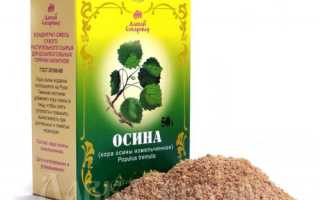 Осиновая кора при простатите: народный метод лечения