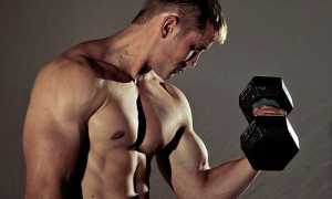 До какого возраста у мужчины могут расти мышцы?