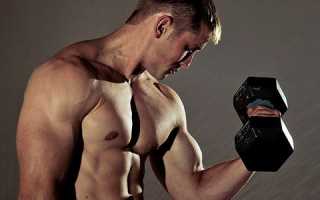 До какого возраста у мужчины могут расти мышцы?