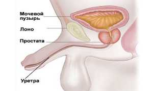 Правильное лечение уретрита у мужчин: препараты и схема