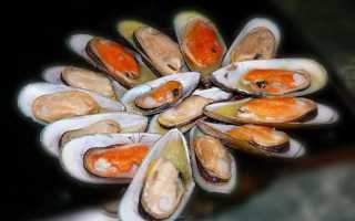 В чем заключаются полезные свойства мидий для мужчин?