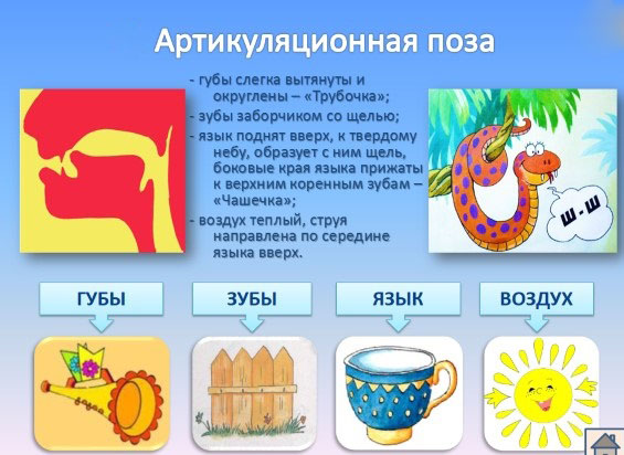 Артикуляция звука ш