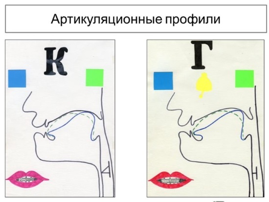 Артикуляционные профили звуков к и г