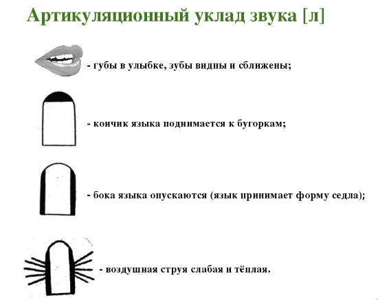 Артикуляционный уклад звука л