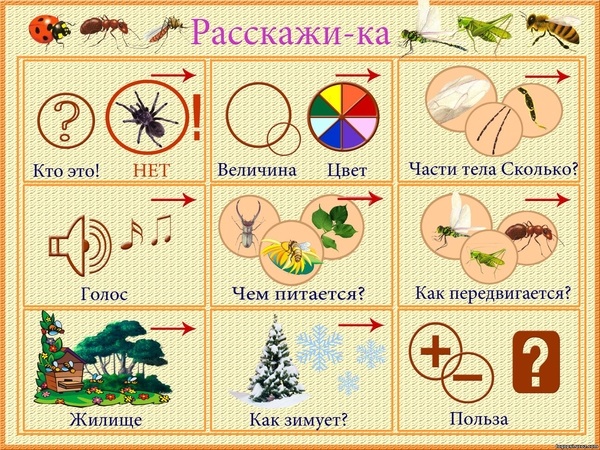 Картинка-план для обучения составлению рассказов