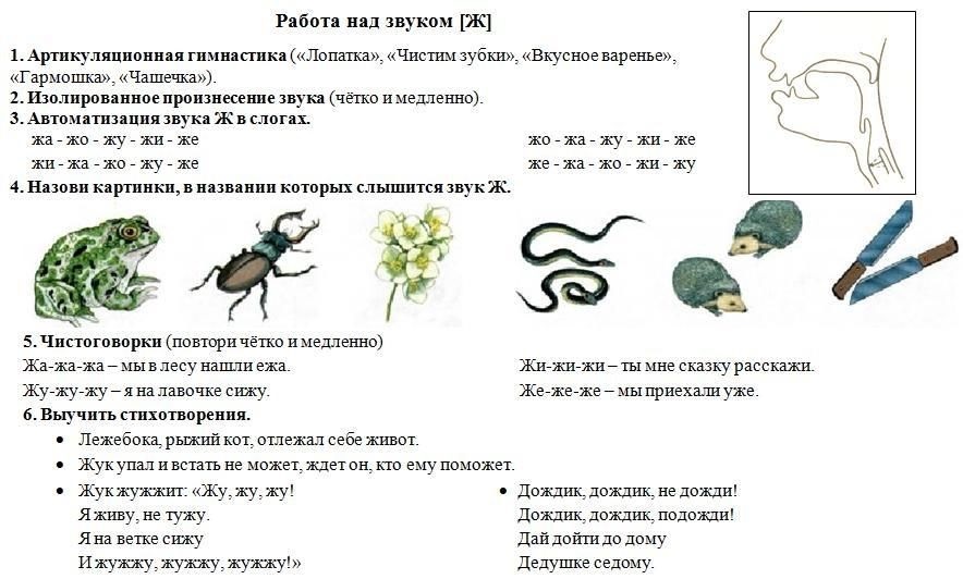 Автоматизация звука ж