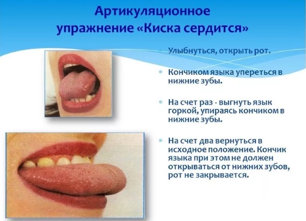 Упражнение "Киска сердится"