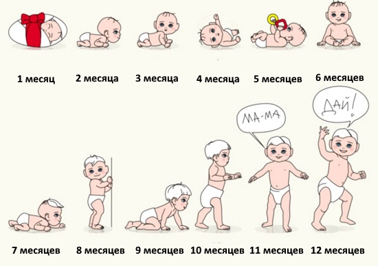 Развитие ребенка с рождения до года