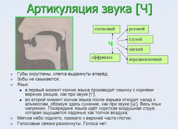 Артикуляция звука ч