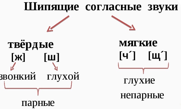 Шипящие согласные звуки