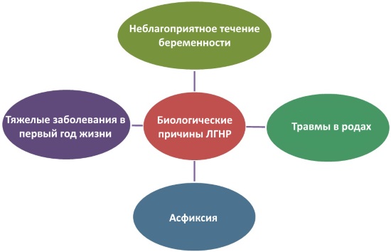 Биологические причины ЛГНР